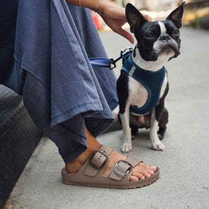 Birkenstock Arizona Big Buckle EVA Gray Taupe כפכפי בירקנשטוק אריזונה לנשים