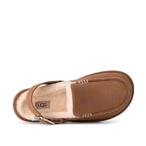 UGG Goldenstar Evelina Clog Chestnut כפכפי גולדנסטאר קלוג חום לנשים