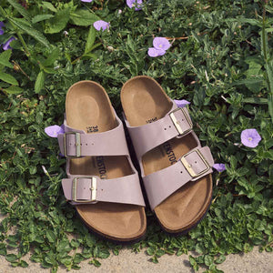 Birkenstock Arizona BS Graceful Faded Purple כפכפי בירקנשטוק אריזונה סגול