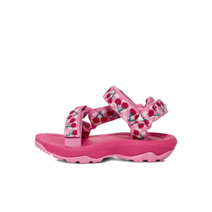 Teva Hurricane XLT 2 Picnic Cherries Rosebloom Bright White סנדלי תינוקות
