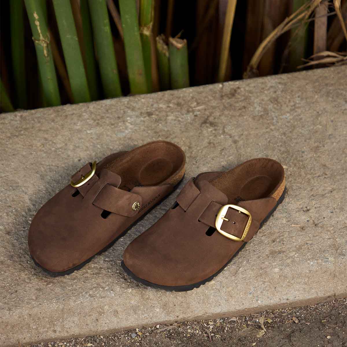 Birkenstock Boston Big Buckle Carafe Tonal FB כפכפי בירקנשטוק בוסטון לנשים