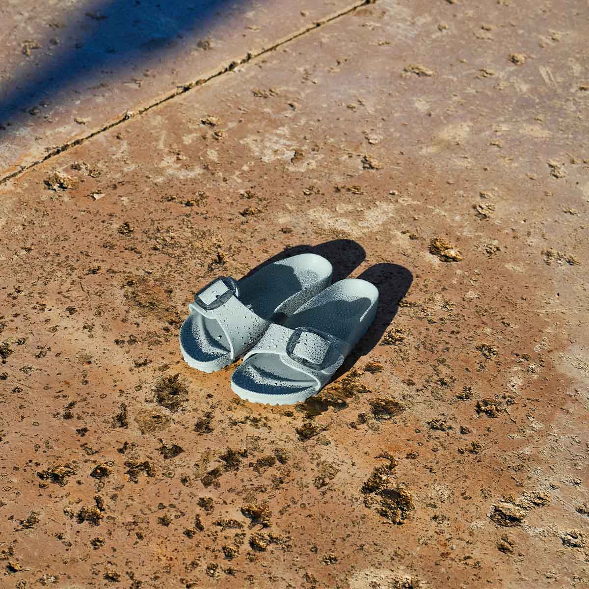 Birkenstock Madrid Big Buckle EVA Pure Sage כפכפי בירקנשטוק מדריד לנשים אבזם סייג