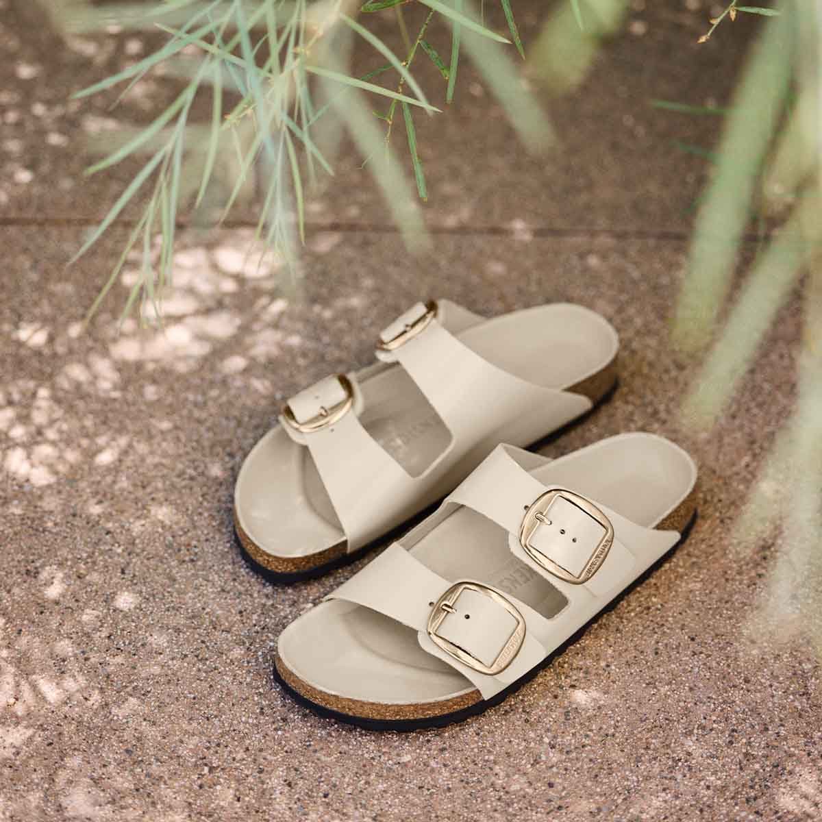 Birkenstock Arizona Big Buckle High Shine Oyster כפכפי בירקנשטוק אריזונה לנשים