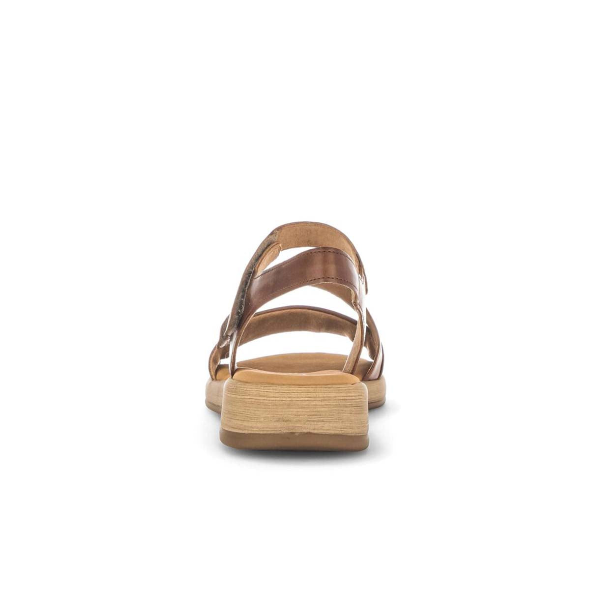 Gabor brown strappy sandal סנדלי גאבור לנשים