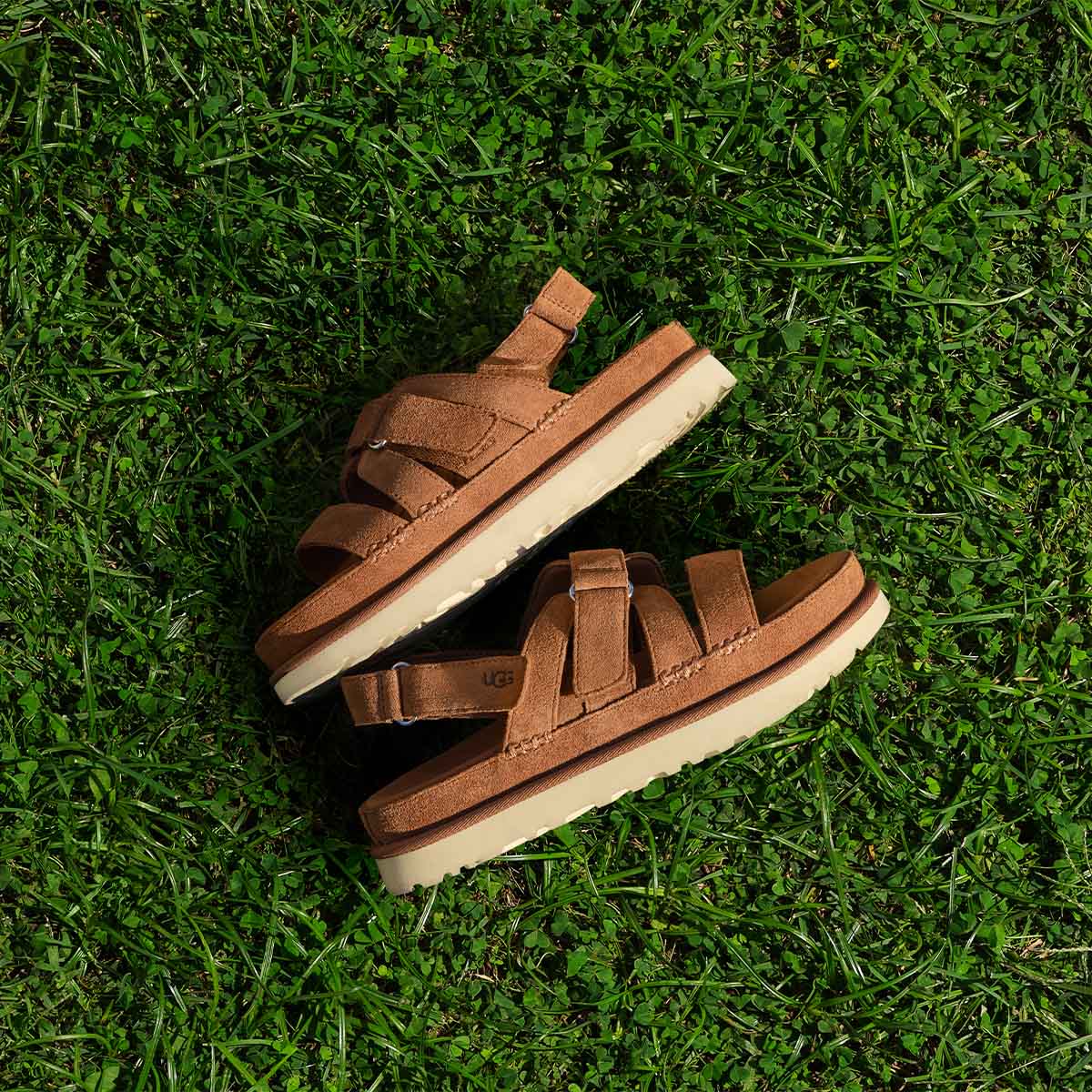 UGG Goldenstar Gleam Chestnut סנדלי נשים גולדנסטאר חום