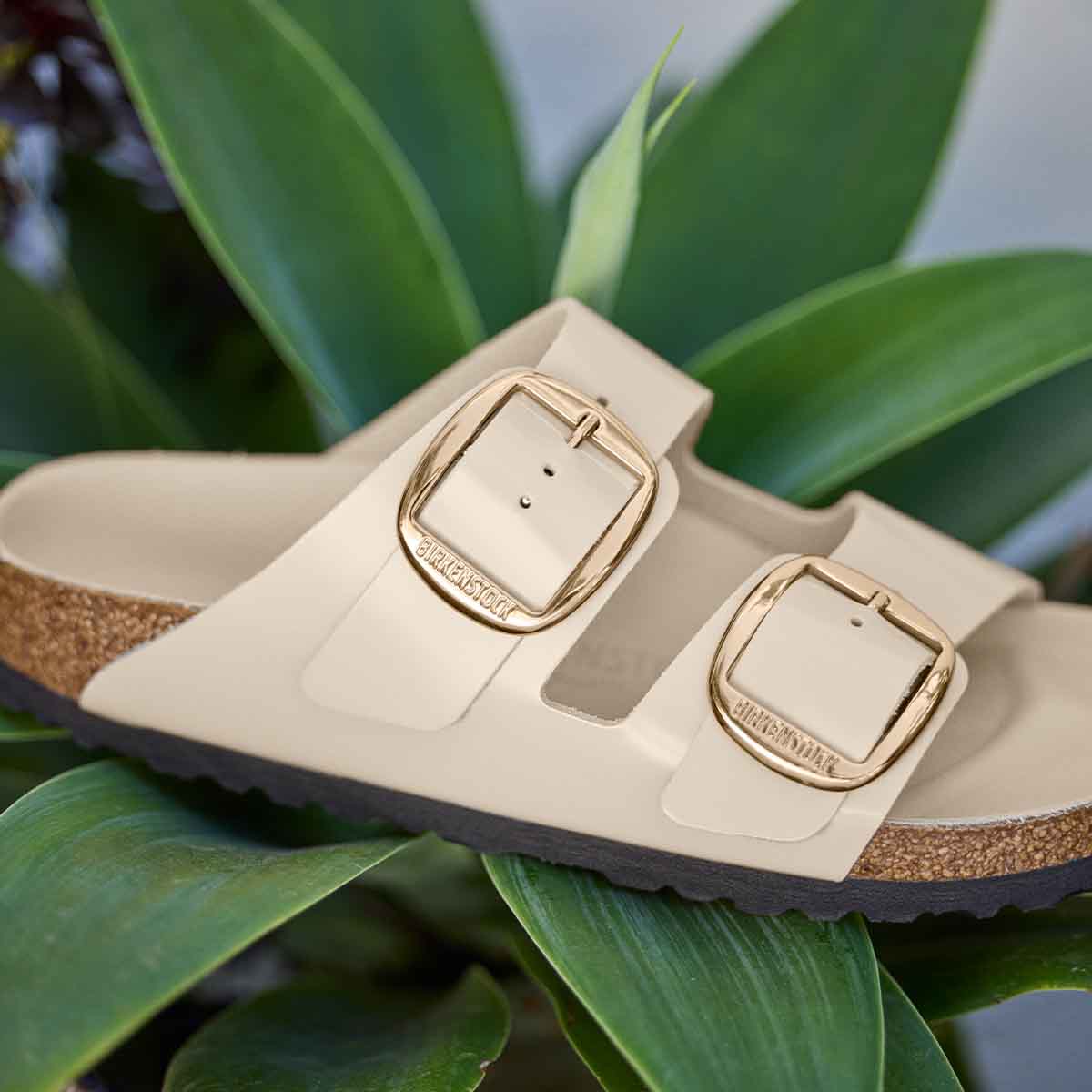 Birkenstock Arizona Big Buckle High Shine Oyster כפכפי בירקנשטוק אריזונה לנשים
