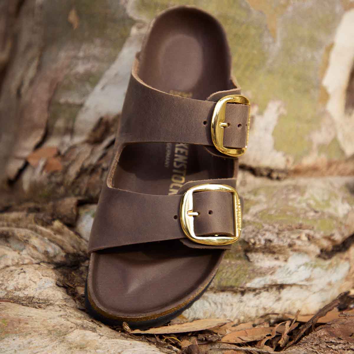 Birkenstock 1032916 Arizona Big Buckle Habana כפכפי בירקנשטוק אריזונה לנשים
