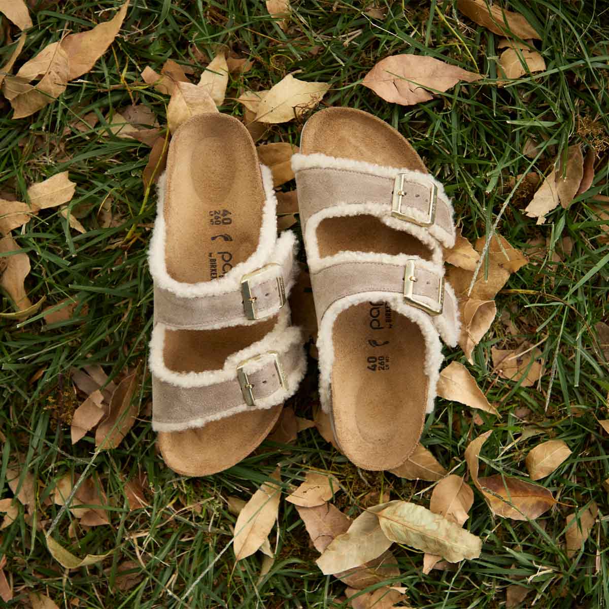 Birkenstock Arizona Teddy Edge Flex Plat. Taupe כפכפי בירקנשטוק אריזונה טדי לנשים