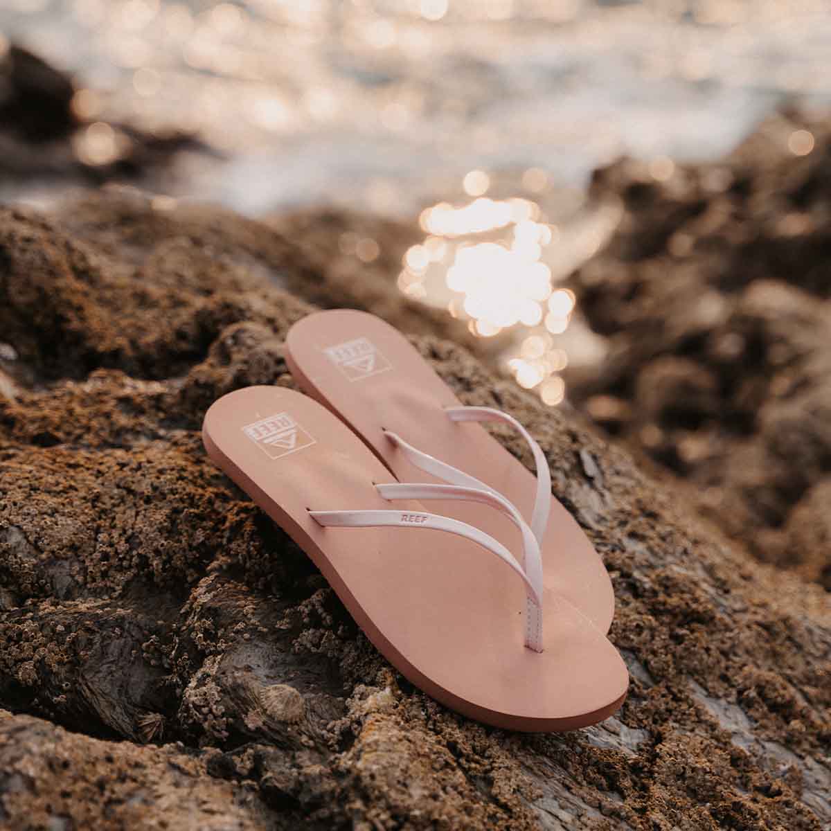 Reef Bliss Nights Cameo Rose Cork כפכפי ריף לנשים