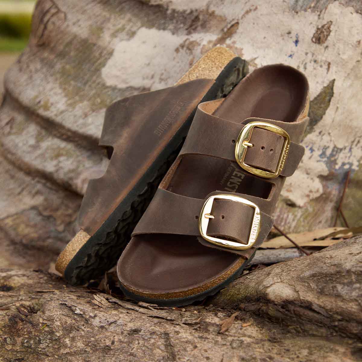 Birkenstock 1032916 Arizona Big Buckle Habana כפכפי בירקנשטוק אריזונה לנשים