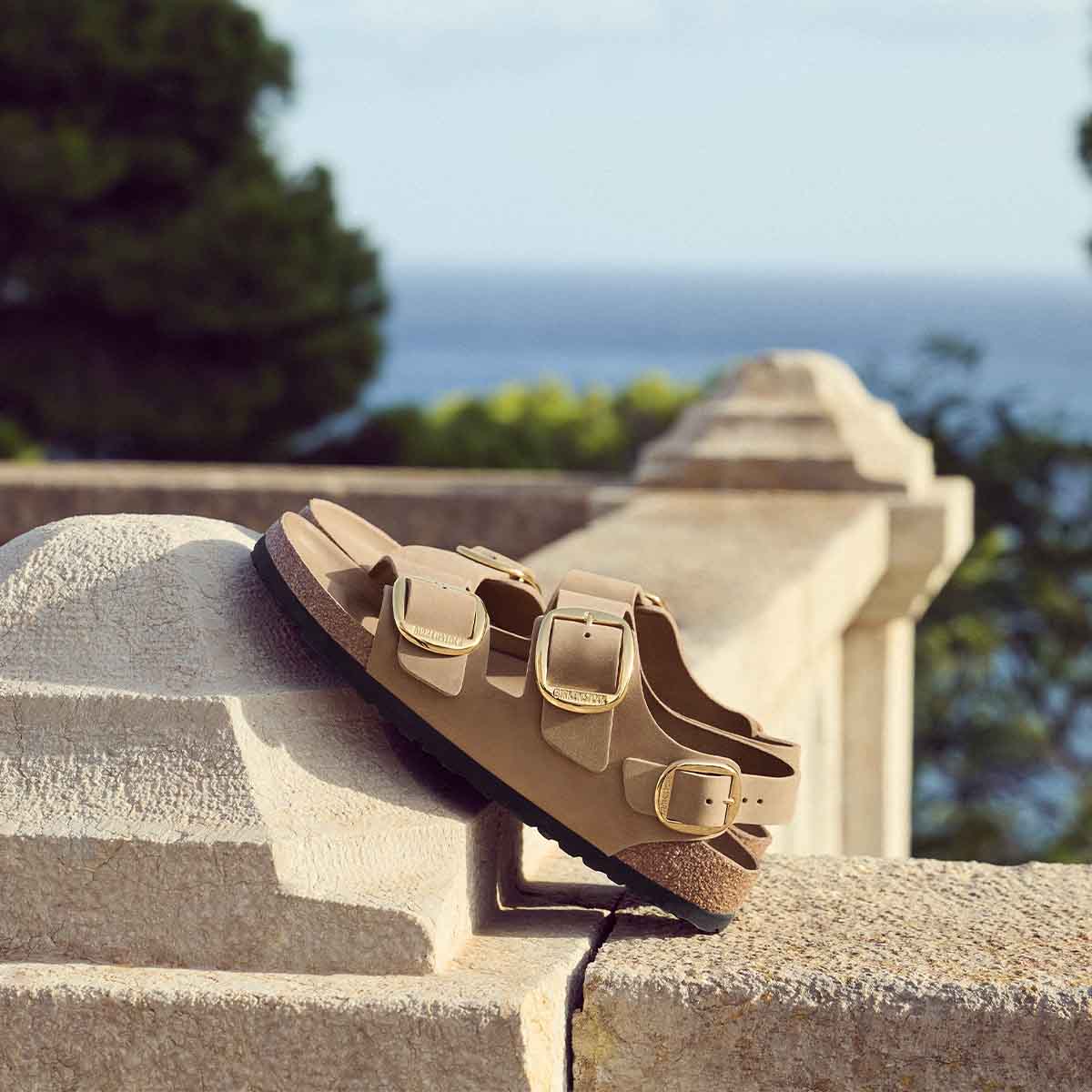 Birkenstock Milano Big Buckle Tabacco Brown סנדלי בירקנשטוק מילאנו לנשים