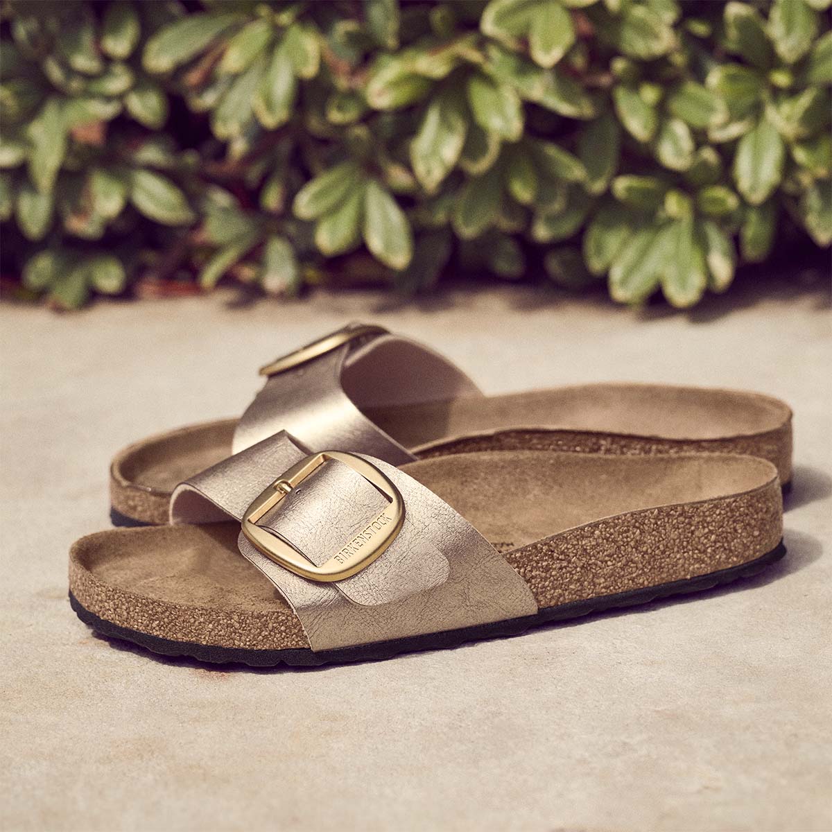 בירקנשטוק כפכפי נשים מדריד אבזם טיופ Birkenstock Madrid Big Buckle Graceful Taupe