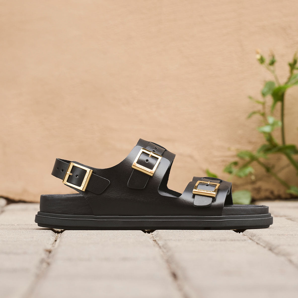 Birkenstock Cannes EXQ LE Black סנדלי בירקנשטוק לנשים