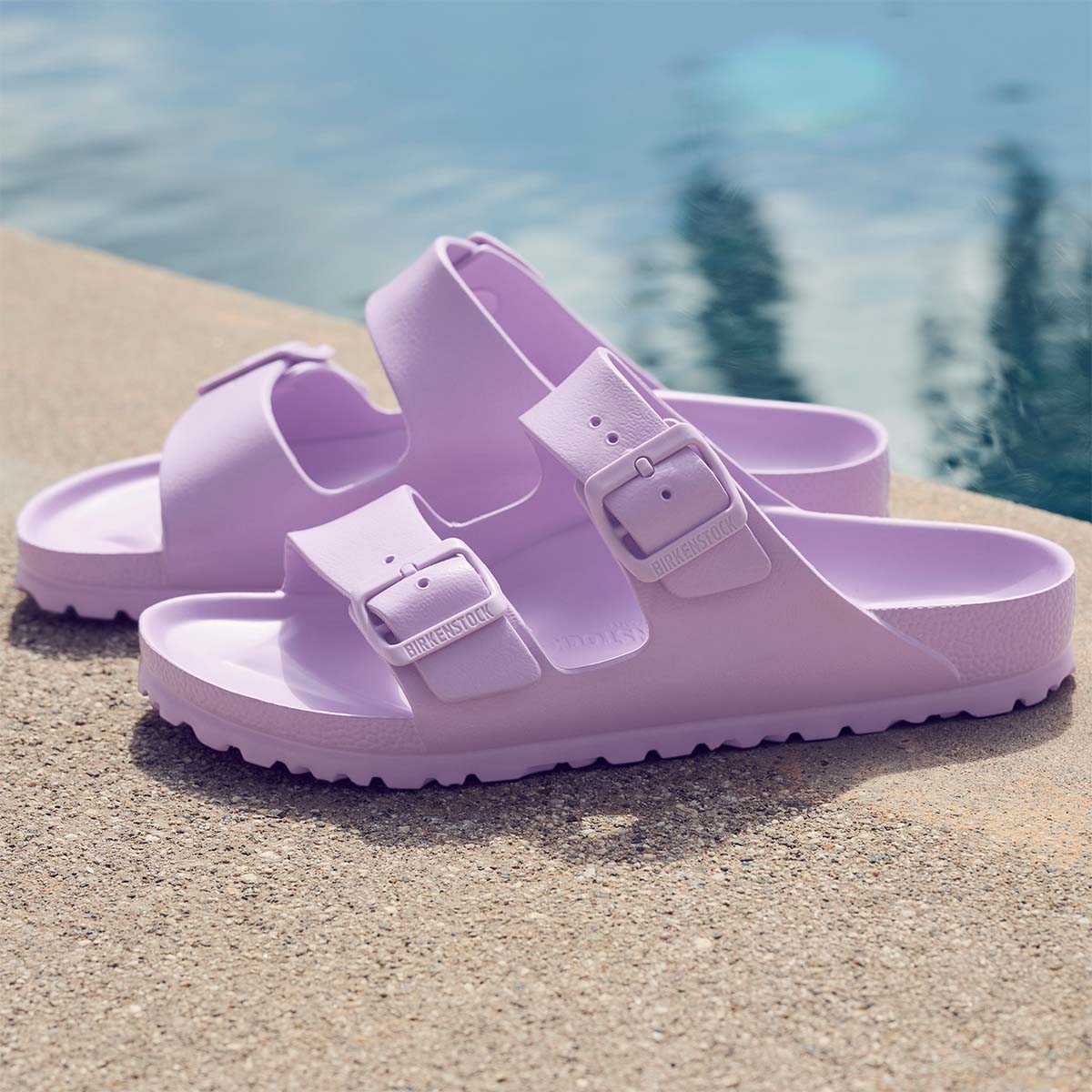 Birkenstock Arizona EVA Crocus כפכפי בירקנשטוק אריזונה נשים סגול