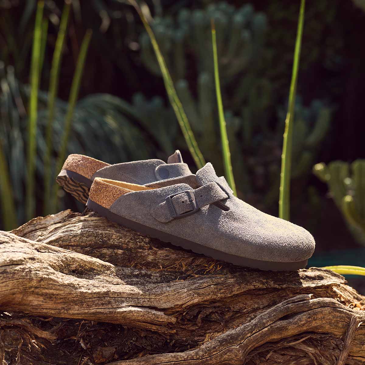 Birkenstock Boston Velvet Grey כפכפי בירקנשטוק בוסטון קטיפה אפור