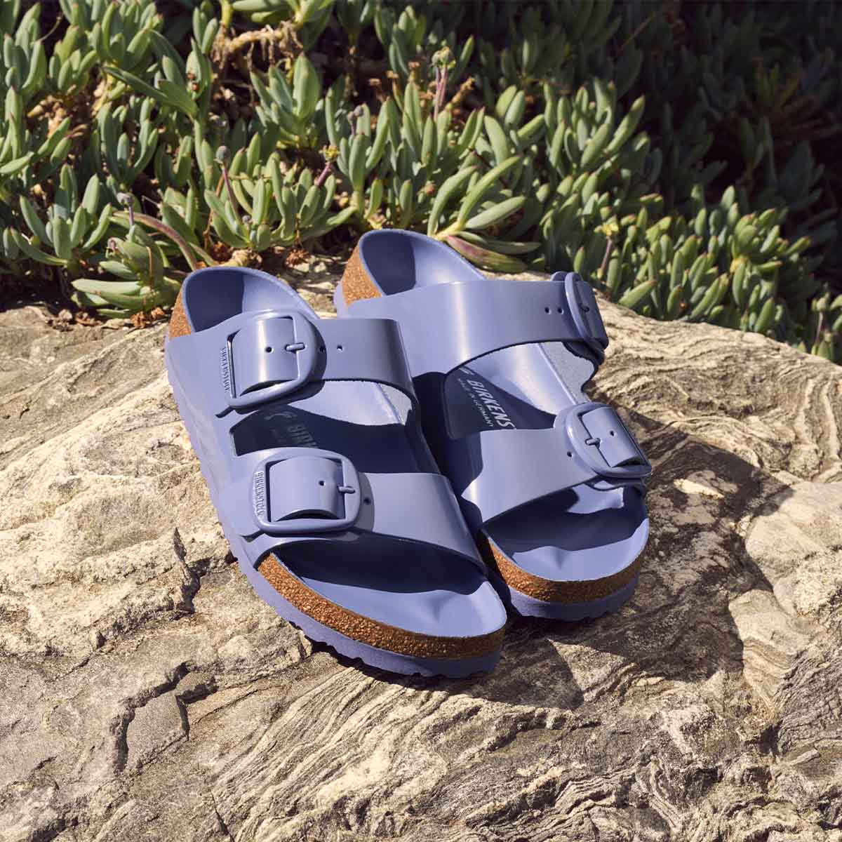 Birkenstock Arizona Big Buckle High-Shine Purple Dusk כפכפי בירקנשטוק אריזונה אבזם סגול