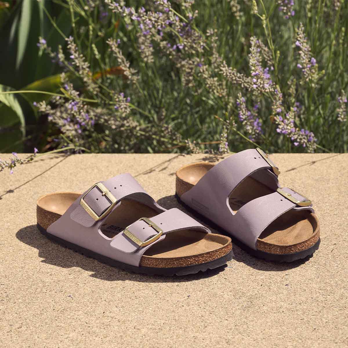 Birkenstock Arizona BS Graceful Faded Purple כפכפי בירקנשטוק אריזונה סגול