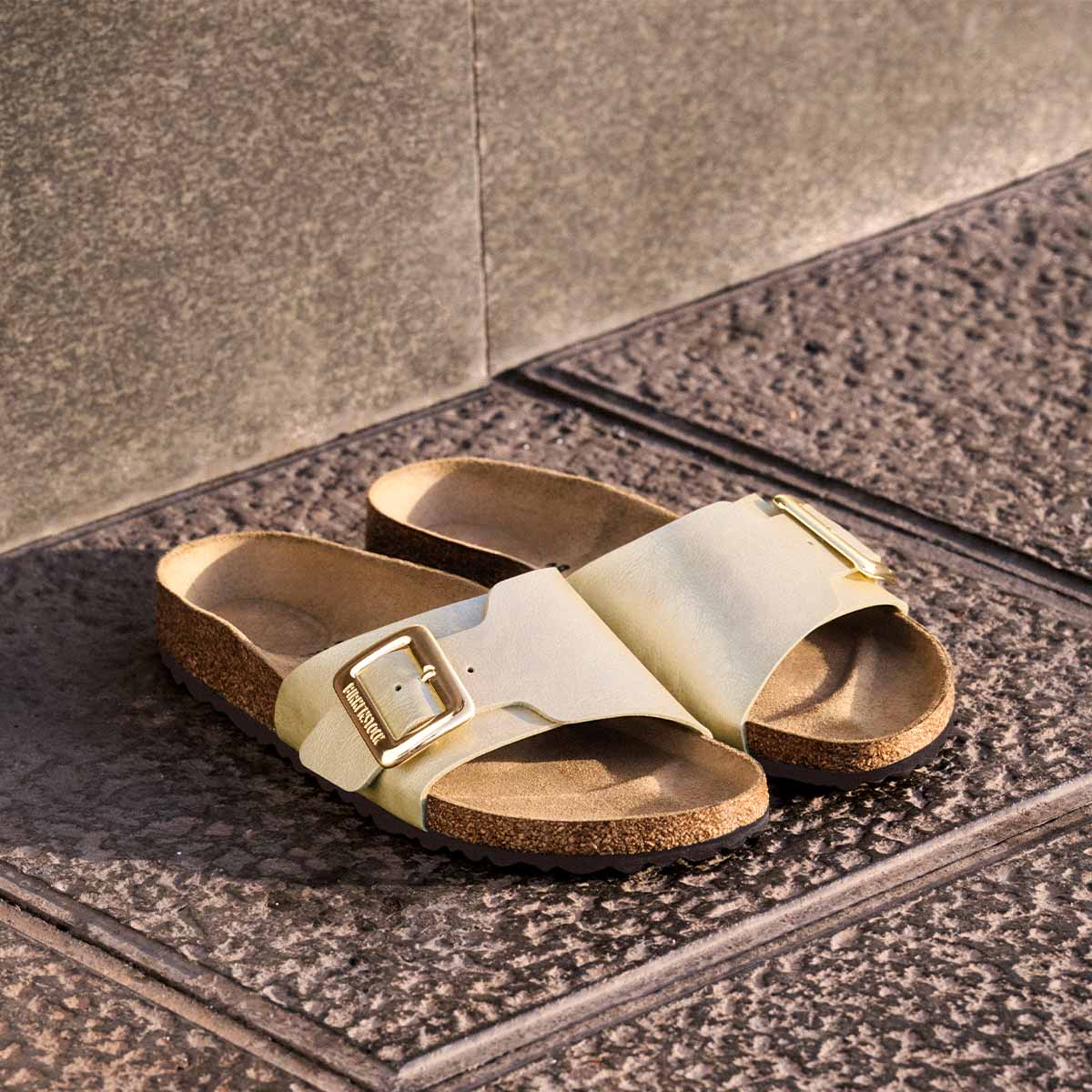 Birkenstock Catalina Cushion Buckle Graceful Pearl White קטלינה אבזם לבן פנינה