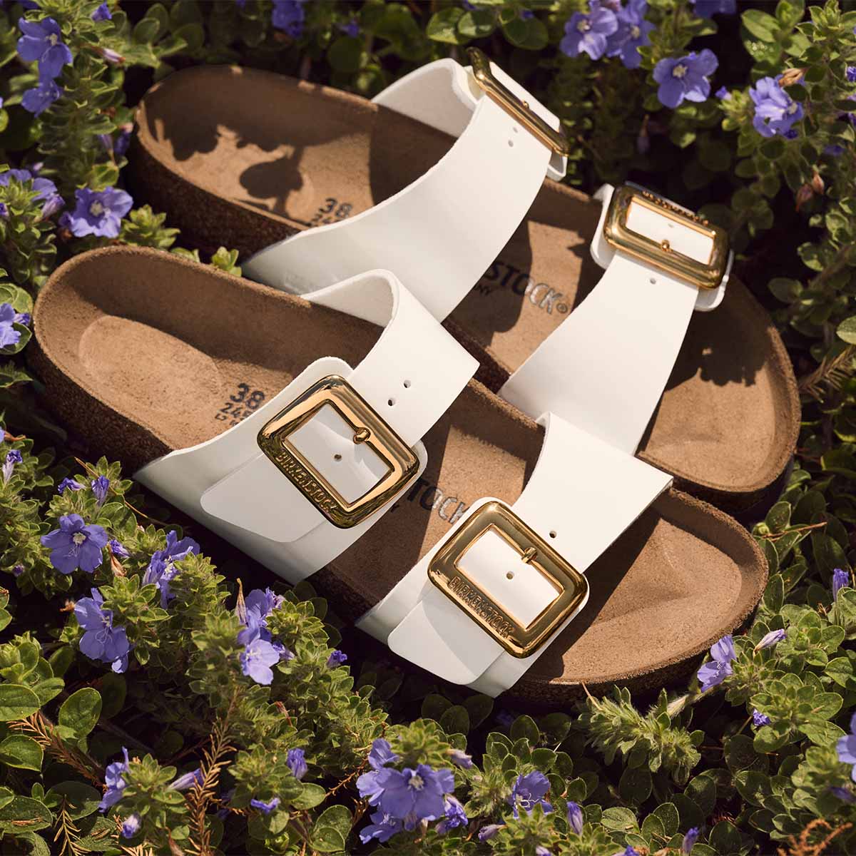 Birkenstock Sydney Cushion Buckle Patent White כפכפי בירקנשטוק לנשים סידני אבזם לבן לק