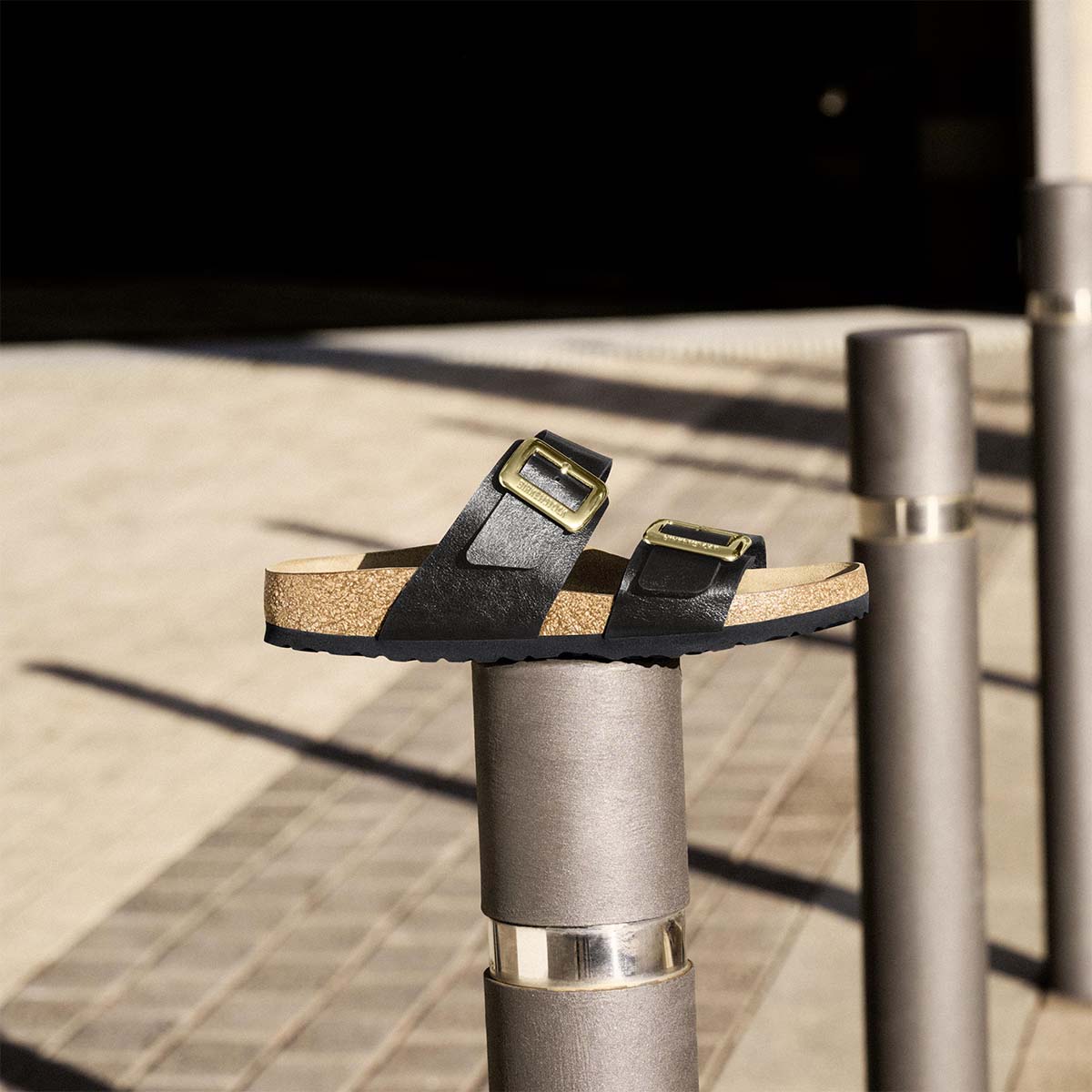 Birkenstock Sydney Cushion Buckle Graceful Licorice כפכפי בירקנשטוק סידני לנשים