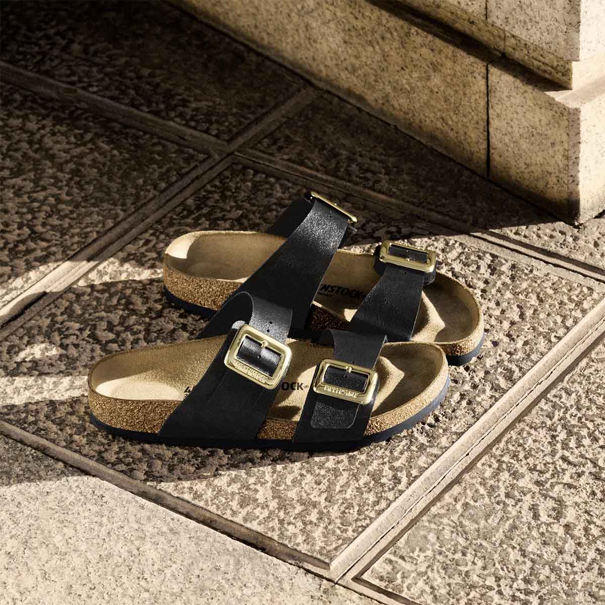 Birkenstock Sydney Cushion Buckle Graceful Licorice כפכפי בירקנשטוק סידני לנשים