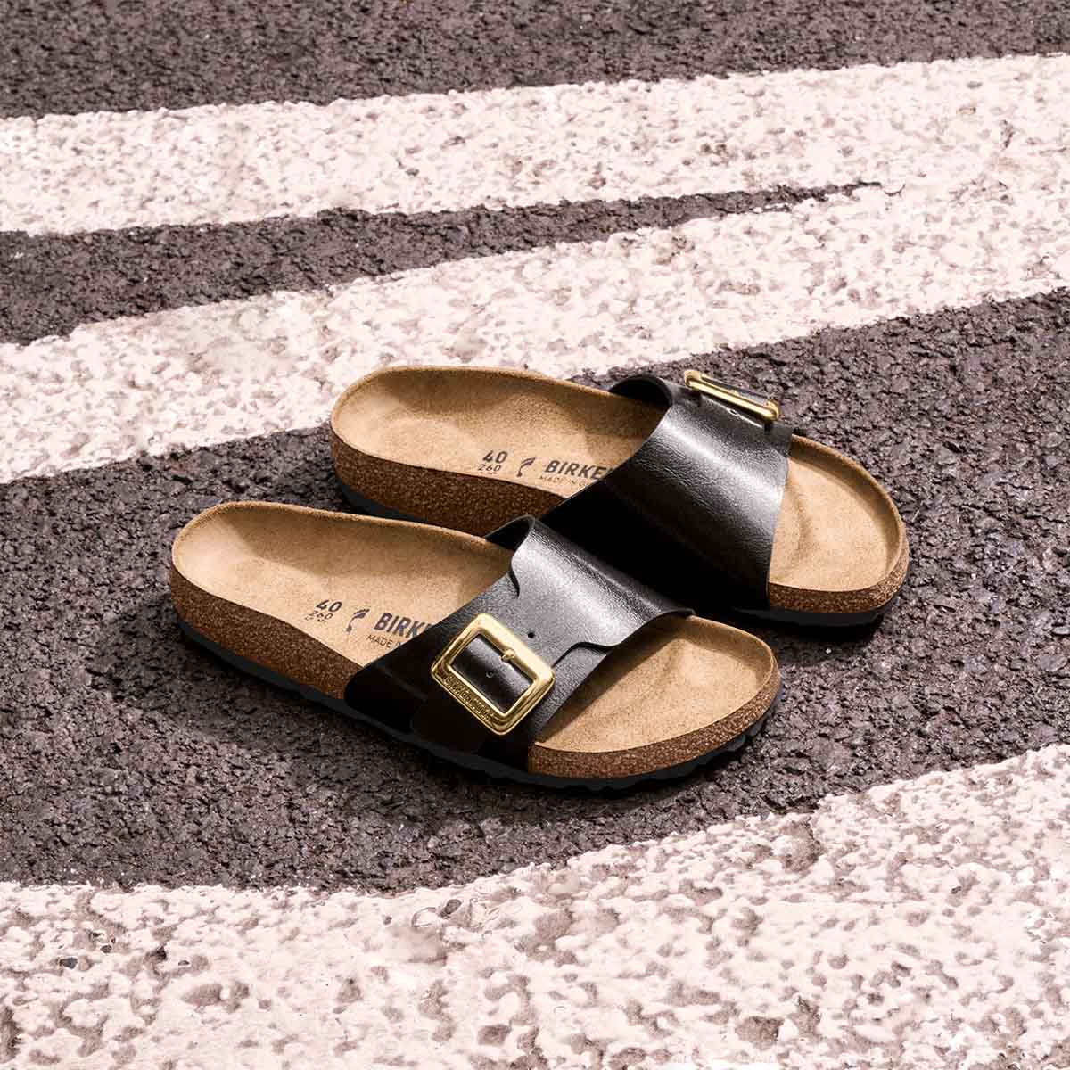 Birkenstock Catalina Cushion Buckle Graceful Licorice כפכפי בירקנשטוק קטלינה
