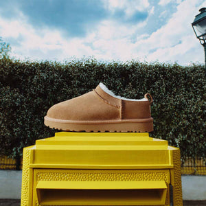 UGG Women's Classic Micro Chestnut מגפי קלאסיק מיקרו חום לנשים