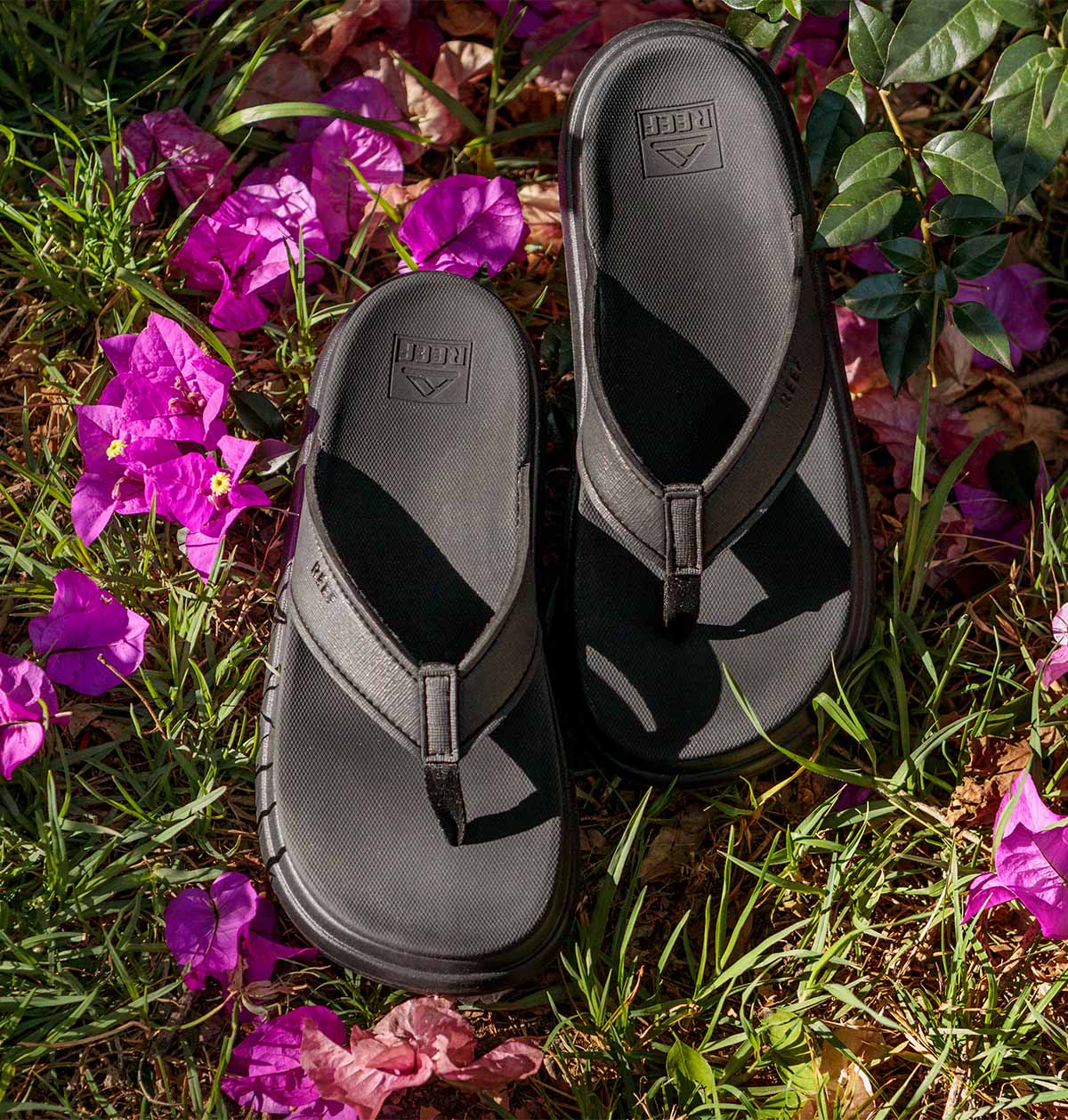 Reef Cushion Bondi Black כפכפי ריף לנשים